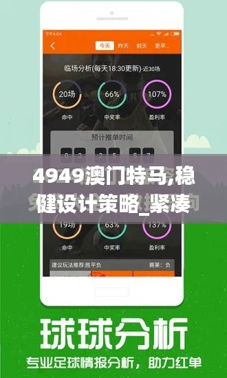 4949澳门特马,稳健设计策略_紧凑版AFM5.75