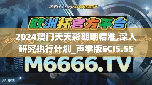 2024澳门天天彩期期精准,深入研究执行计划_声学版ECI5.55