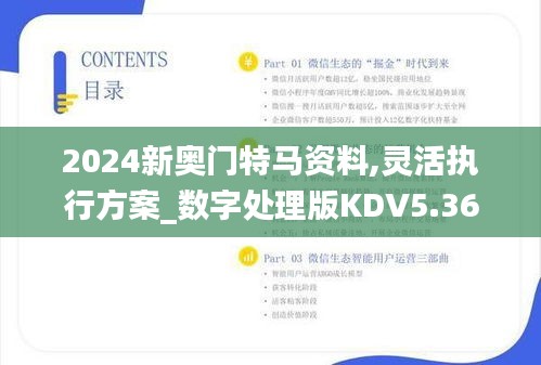 2024新奥门特马资料,灵活执行方案_数字处理版KDV5.36