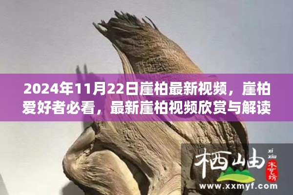 了解鹿瓷 第538页