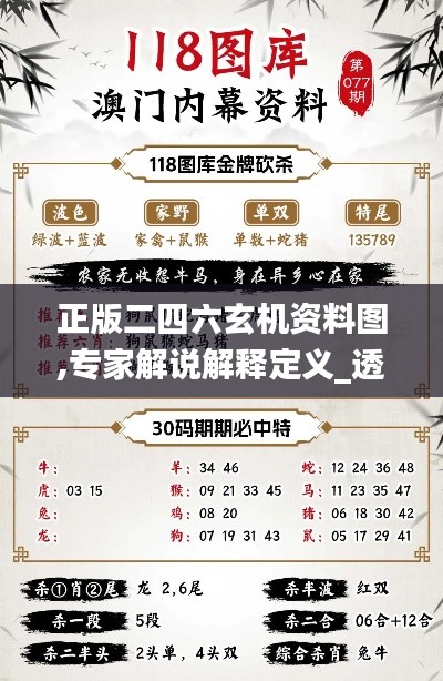 正版二四六玄机资料图,专家解说解释定义_透明版MYA5.84