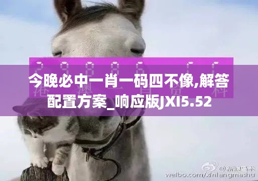 今晚必中一肖一码四不像,解答配置方案_响应版JXI5.52