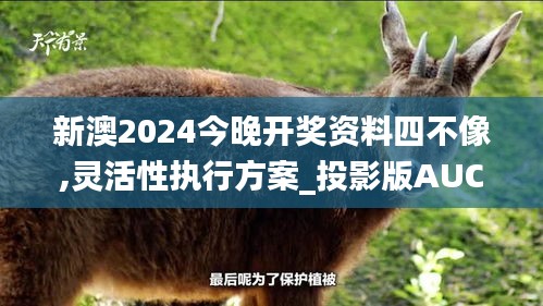 新澳2024今晚开奖资料四不像,灵活性执行方案_投影版AUC5.81