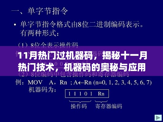 揭秘十一月热门机器码技术，应用与奥秘探究
