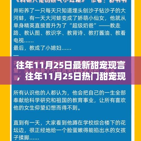 往年11月25日甜宠现言佳作盘点与深度评测