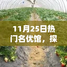 张皇铺饰 第5页