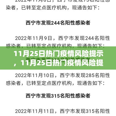 11月25日热门疫情风险提示及全面评测报告解析