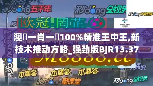澳門一肖一碼100%精准王中王,新技术推动方略_强劲版BJR13.37
