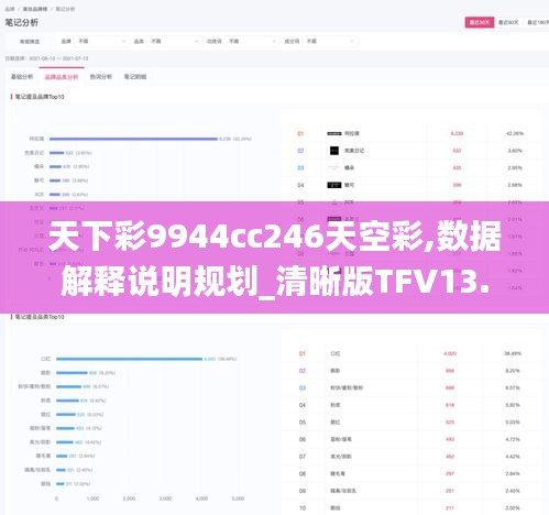 天下彩9944cc246天空彩,数据解释说明规划_清晰版TFV13.16