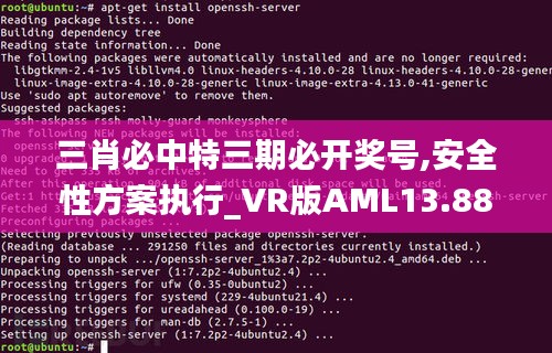 三肖必中特三期必开奖号,安全性方案执行_VR版AML13.88