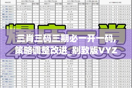 三肖三码三期必一开一码,策略调整改进_别致版VYZ13.28