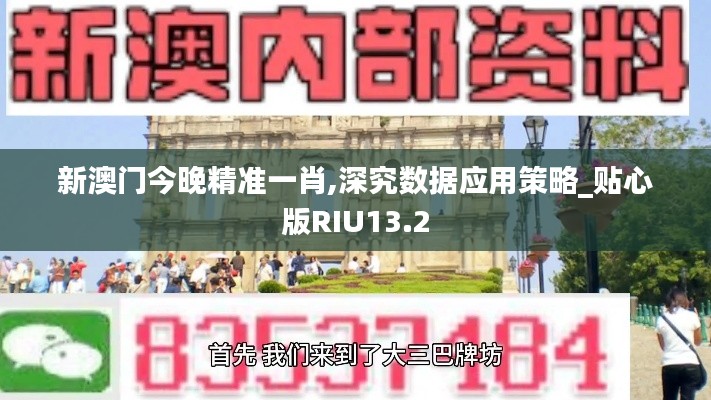 新澳门今晚精准一肖,深究数据应用策略_贴心版RIU13.2