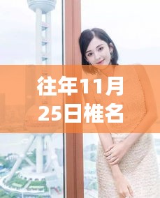 了解鹿瓷 第509页