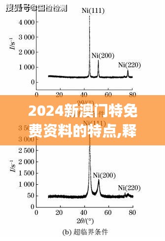 2024新澳门特免费资料的特点,释意性描述解_共享版PPZ13.70