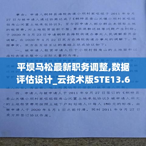 平坝马松最新职务调整,数据评估设计_云技术版STE13.60