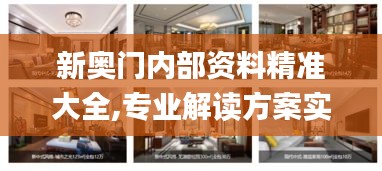新奥门内部资料精准大全,专业解读方案实施_私人版CLK13.29