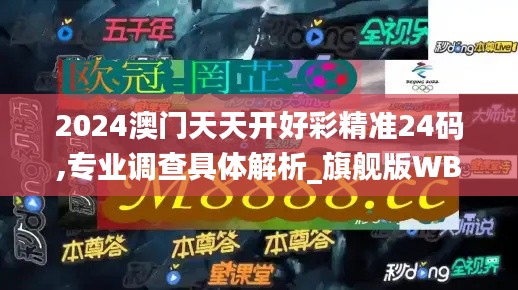 2024澳门天天开好彩精准24码,专业调查具体解析_旗舰版WBX13.97