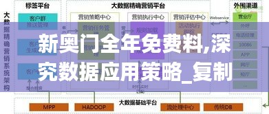 新奥门全年免费料,深究数据应用策略_复制版IVF13.55
