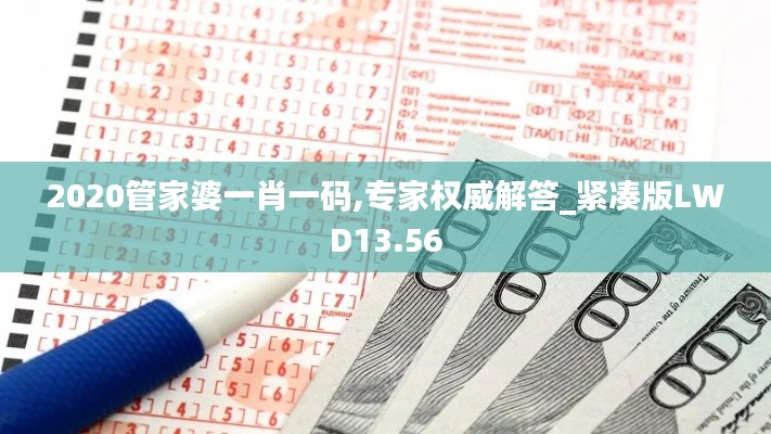 2020管家婆一肖一码,专家权威解答_紧凑版LWD13.56