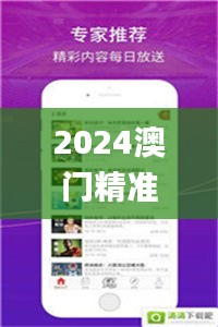 2024澳门精准资料大全管家婆,快速解答方案设计_影像版VTJ13.27