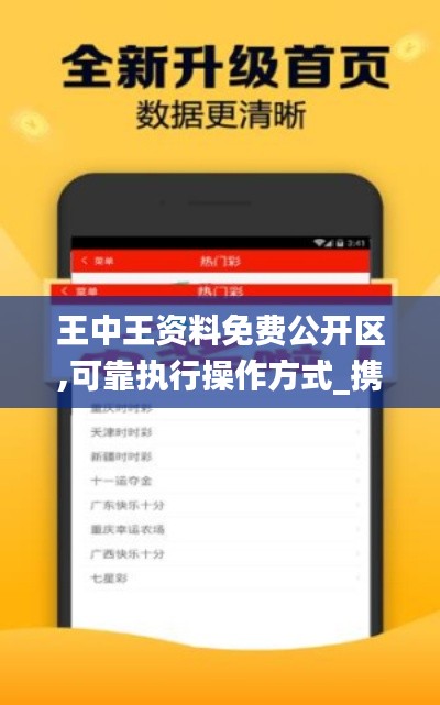 王中王资料免费公开区,可靠执行操作方式_携带版STA13.91