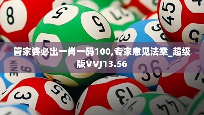 管家婆必出一肖一码100,专家意见法案_超级版VVJ13.56