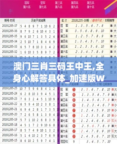 澳门三肖三码王中王,全身心解答具体_加速版WUX13.82