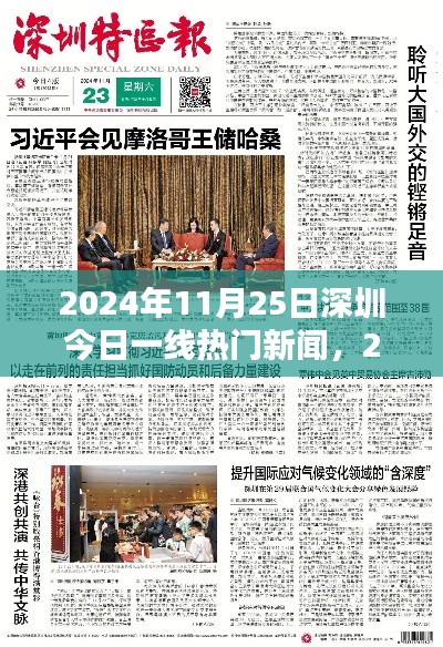 2024年11月25日深圳一线热门新闻聚焦
