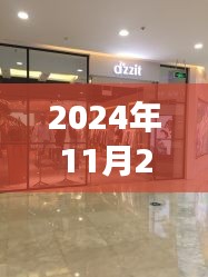 DZzit 2024年11月25日热门款潮流回响与时尚脉搏
