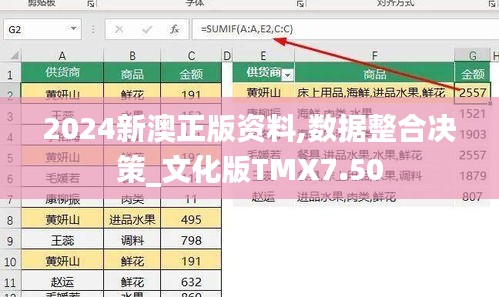 2024新澳正版资料,数据整合决策_文化版TMX7.50