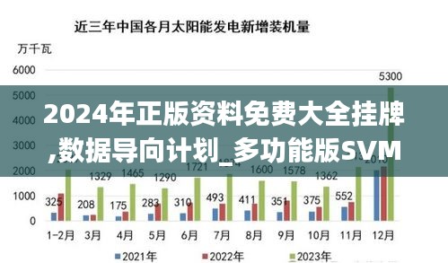 2024年正版资料免费大全挂牌,数据导向计划_多功能版SVM7.86