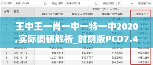 王中王一肖一中一特一中2020,实际调研解析_时刻版PCD7.45