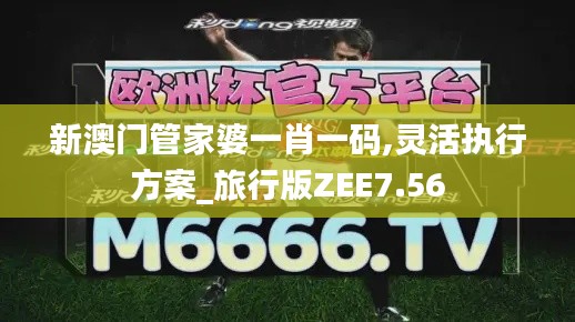 新澳门管家婆一肖一码,灵活执行方案_旅行版ZEE7.56