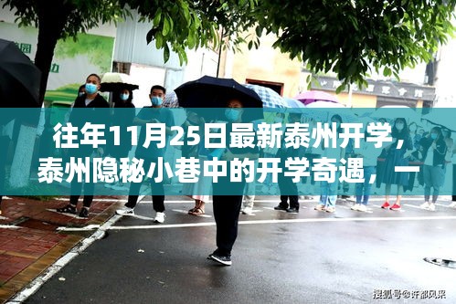 泰州特色小店开学奇遇，小巷中的非凡魅力