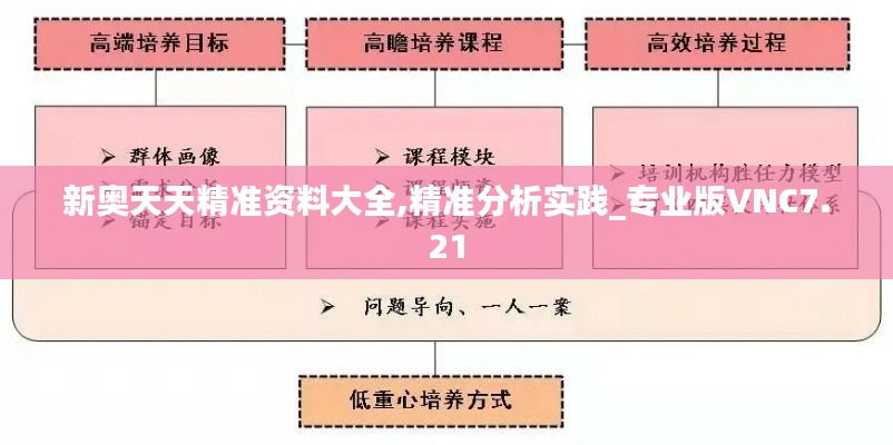 新奥天天精准资料大全,精准分析实践_专业版VNC7.21