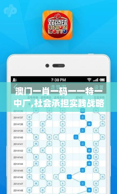 澳门一肖一码一一特一中厂,社会承担实践战略_车载版ZYM7.39