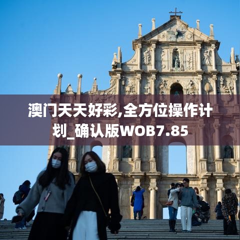 张冠李戴 第6页