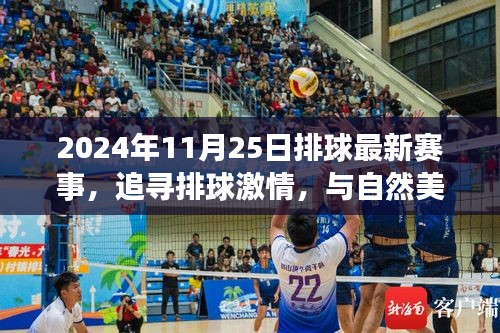 追寻激情与美景，2024年11月25日排球赛事之旅