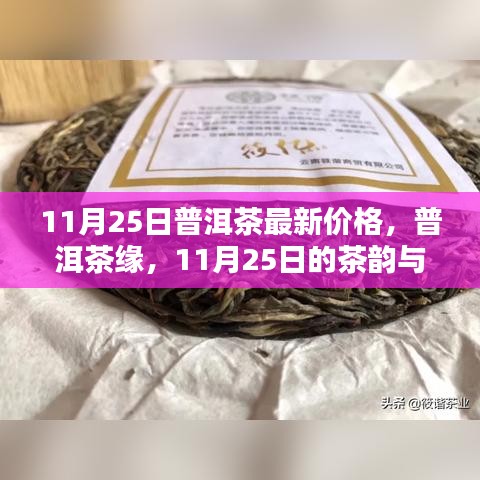 11月25日普洱茶最新价格，茶韵与温情的邂逅