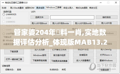 管家婆204年資料一肖,实地数据评估分析_体现版MAB13.24