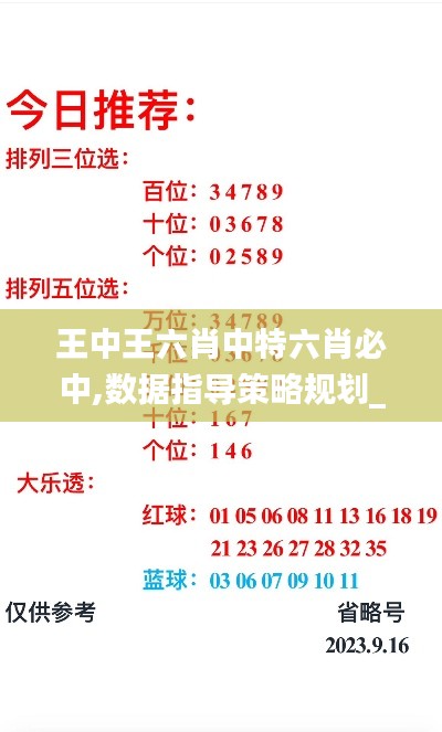 王中王六肖中特六肖必中,数据指导策略规划_数字处理版ZJW13.82