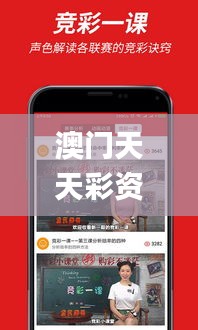 澳门天天彩资料大全那些是天肖？,实地验证研究方案_交互式版AYN13.4