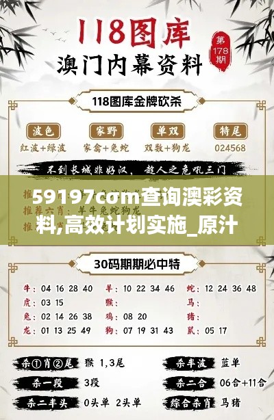 59197cσm查询澳彩资料,高效计划实施_原汁原味版ROS13.18