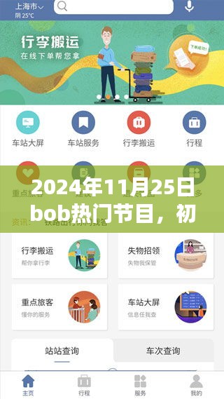 初学者与进阶用户观看指南，Bob热门节目详细步骤及精彩内容回顾（2024年11月25日）
