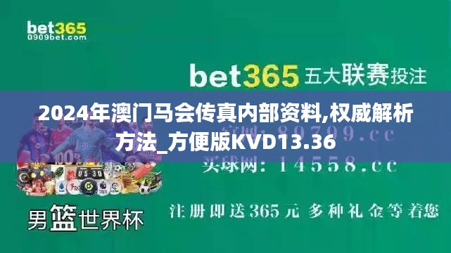 2024年澳门马会传真内部资料,权威解析方法_方便版KVD13.36