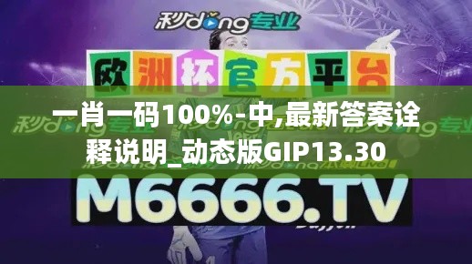一肖一码100%-中,最新答案诠释说明_动态版GIP13.30