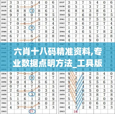六肖十八码精准资料,专业数据点明方法_工具版GGT13.67