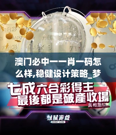 澳门必中一一肖一码怎么样,稳健设计策略_梦想版OTA13.90