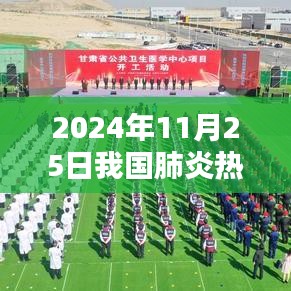 2024年11月25日中国肺炎疫情最新动态与社会观点碰撞