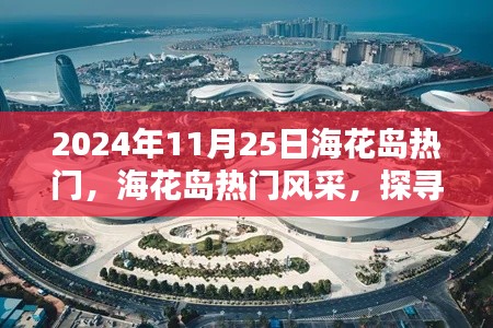 探寻海花岛的独特魅力，2024年11月25日的热门风采展示